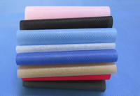 阳新涤纶（PET）无纺布是什么